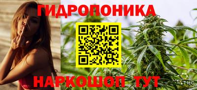 молекула духа Тверь